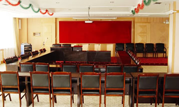 �Ƶ������